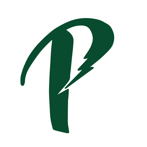 Perkin Electrical Services, Llc logo